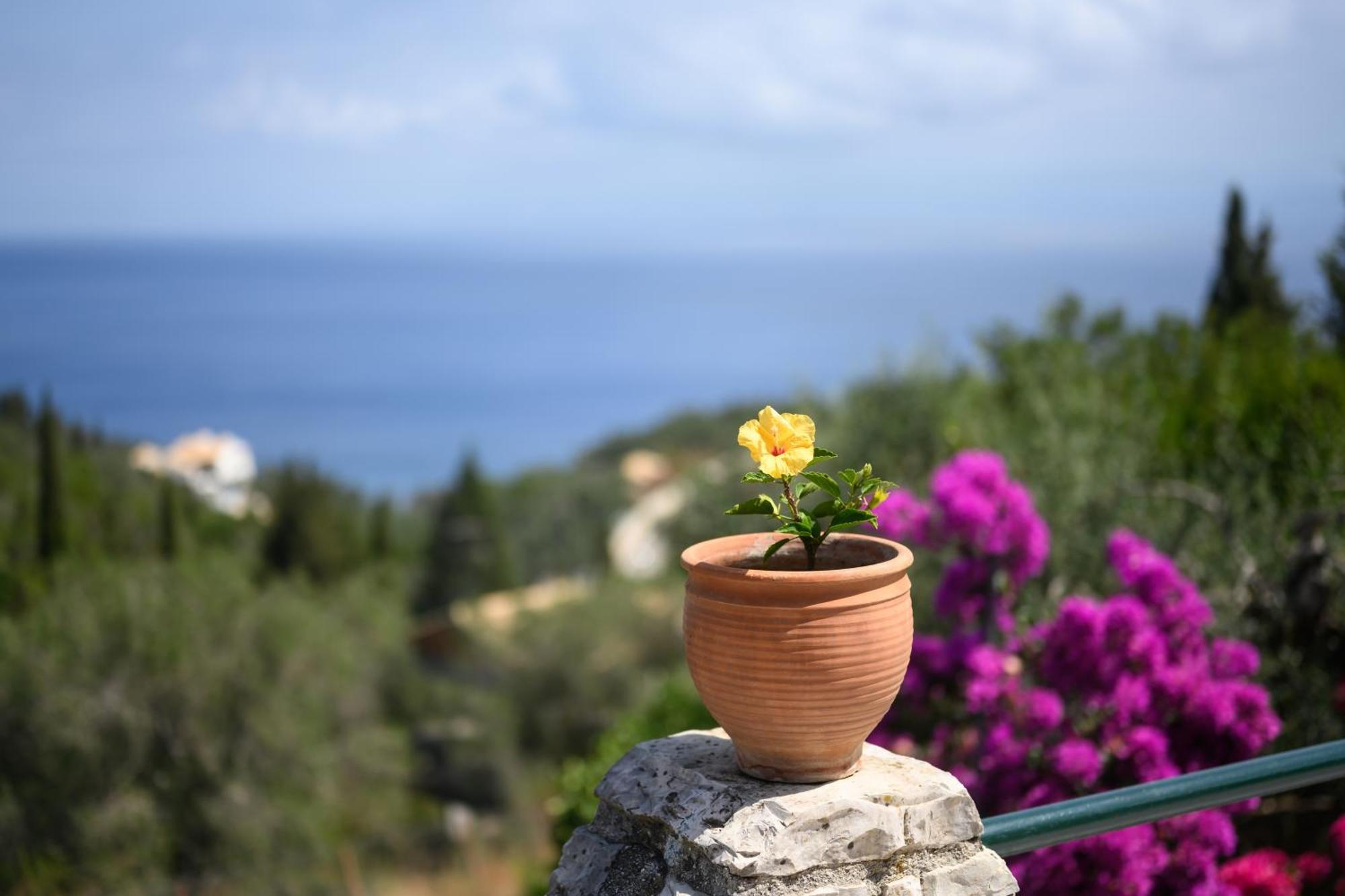 Villa Estia Ieromonachos Екстериор снимка